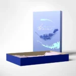 Custom Clothing Boxes - Image 4