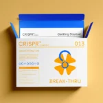 Custom Medicine Boxes - Image 5