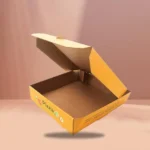 Takeout Mailer Boxes