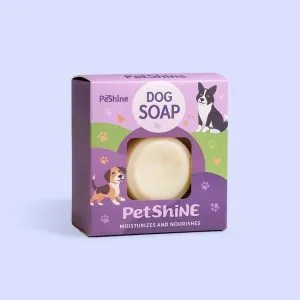 Custom Dog Soap Boxes