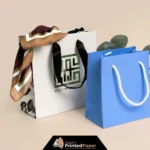 Custom Promotional Paper Bags